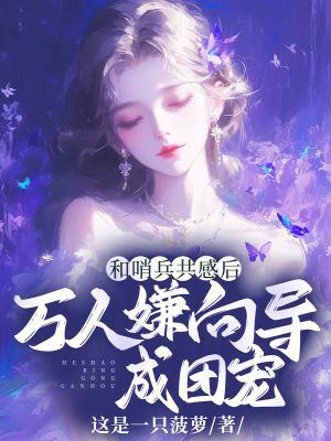 有关哨兵和向导的