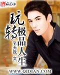 玩转极品人生txt精校版
