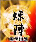 炼阵天才修仙记 冰飞云寒